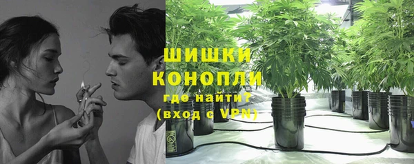 стаф Мегион